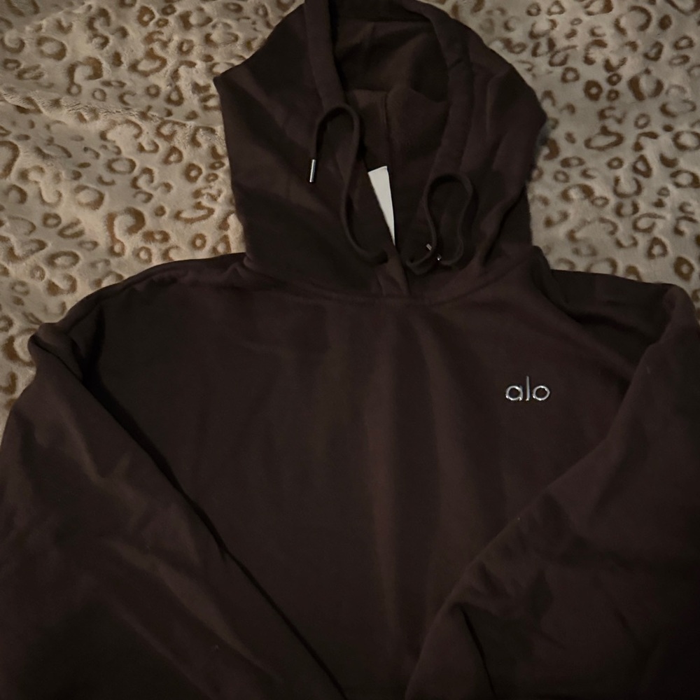 ALO Yoga Dark Brown Hoodie